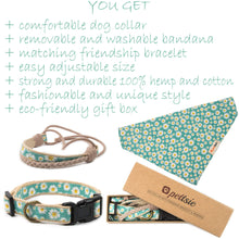 pettsie-green-daisy-dog-collar-matching-friendship-bracelet-benefits.jpg