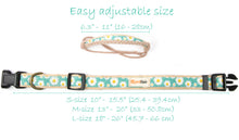 Pettsie Dog Collar & Bandana & Matching Friendship Bracelet, 3 adjustable sizes