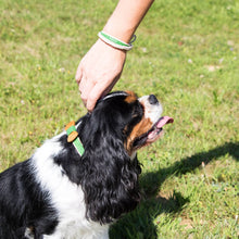 pettsie-green-dog-collar-hemp-bow-tie-friendship-bracelet-benefits-loti