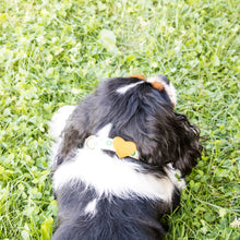 pettsie-hemp-green-dog-collar-heart-friendship-bracelet-gift-loti-2