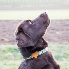 pettsie-hemp-dog-collar-heart-friendship-bracelet-gift-bruno