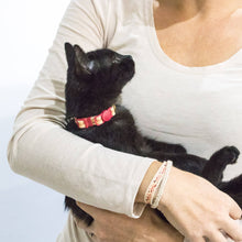 pettsie-kitten-collar-safety-breakaway-buckle-friendship-bracelet-easy-adjustable-edi