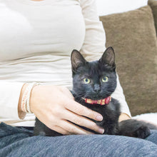 pettsie-kitten-collar-safety-breakaway-buckle-friendship-bracelet-easy-adjustable-edi-2