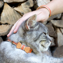 pettsie-orange-cat-collar-wood-bow-tie-matching-friendhip-bracelet-calming-cotton-nature