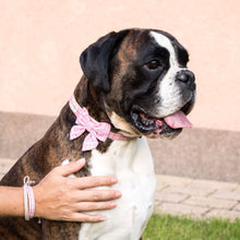 Dog collar with bow tie & matching friendship bracelet, pet-friendly hemp, strong D-ring