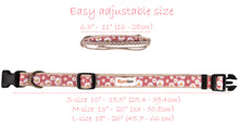 Pettsie Dog Collar & Bandana & Matching Friendship Bracelet, 3 adjustable sizes