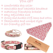 Pettsie Dog Collar & Bandana & Matching Friendship Bracelet, 3 adjustable sizes