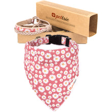 Pettsie Dog Collar & Bandana & Matching Friendship Bracelet, 3 adjustable sizes