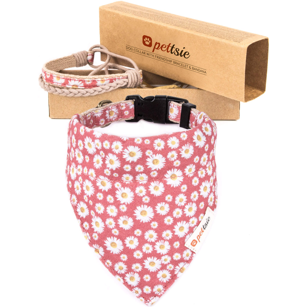 Best friend collar and bracelet online