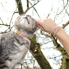 pettsie-pink-cat-collar-wood-heart-matching-friendship-bracelet-calming-cotton-dapper-chic