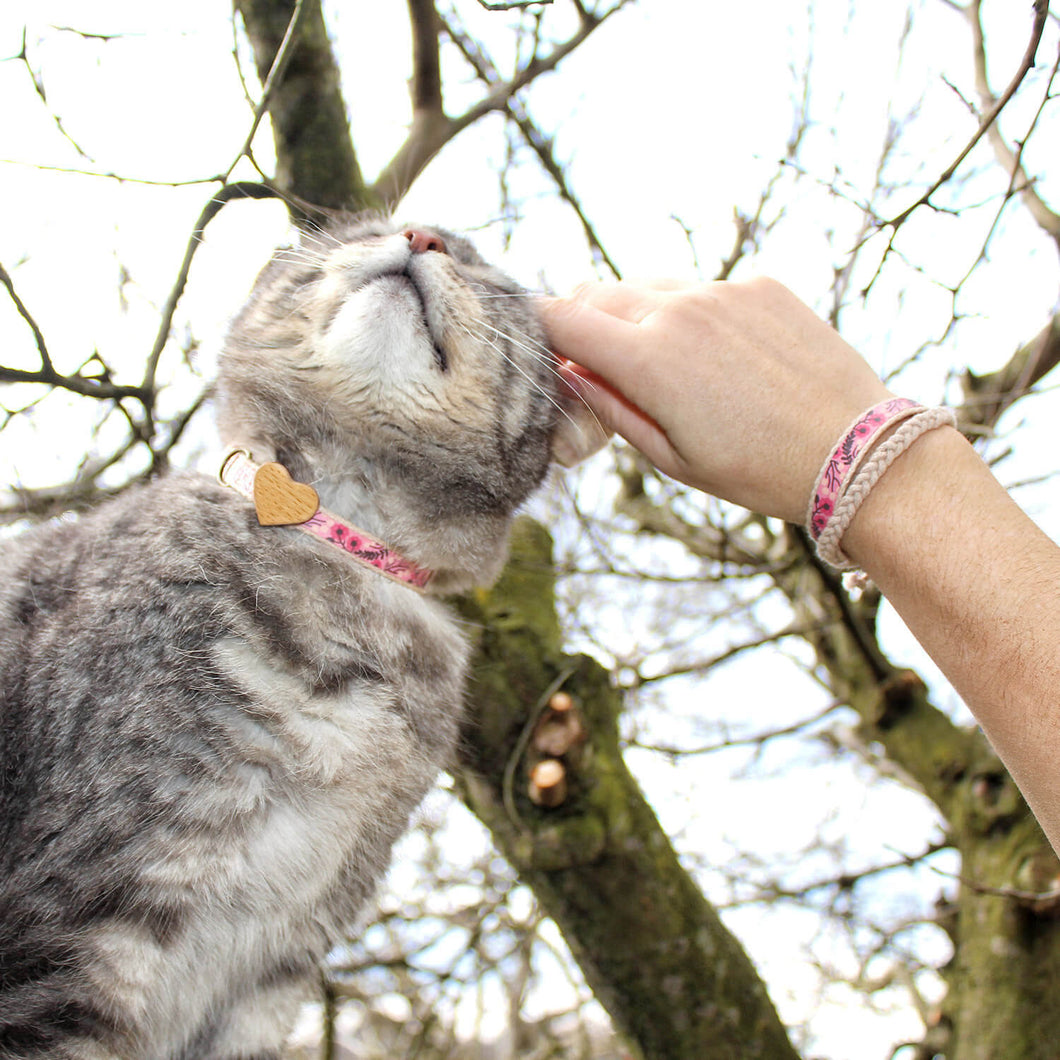 Pink cat collar with wood heart and matching friendship bracelet Pettsie