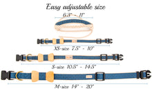 pettsie-blue-dog-collar-wood-bow-tie-friendship-bracelet-gift-box-sizes