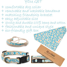 Pettsie Dog Collar & Bandana & Matching Friendship Bracelet, 2 adjustable sizes