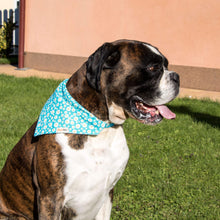 Pettsie Dog Collar & Bandana & Matching Friendship Bracelet, 2 adjustable sizes
