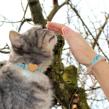 pettsie-turquoise-cat-collar-wood-heart-friendship-bracelet-nature